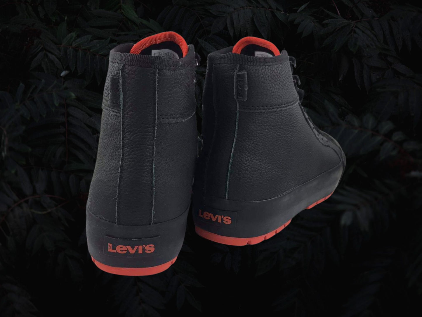 Levi's | Men's ankle boots with black laces and toe cap Black La Paz HI